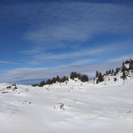 Le Chalet Theys Bagian luar foto