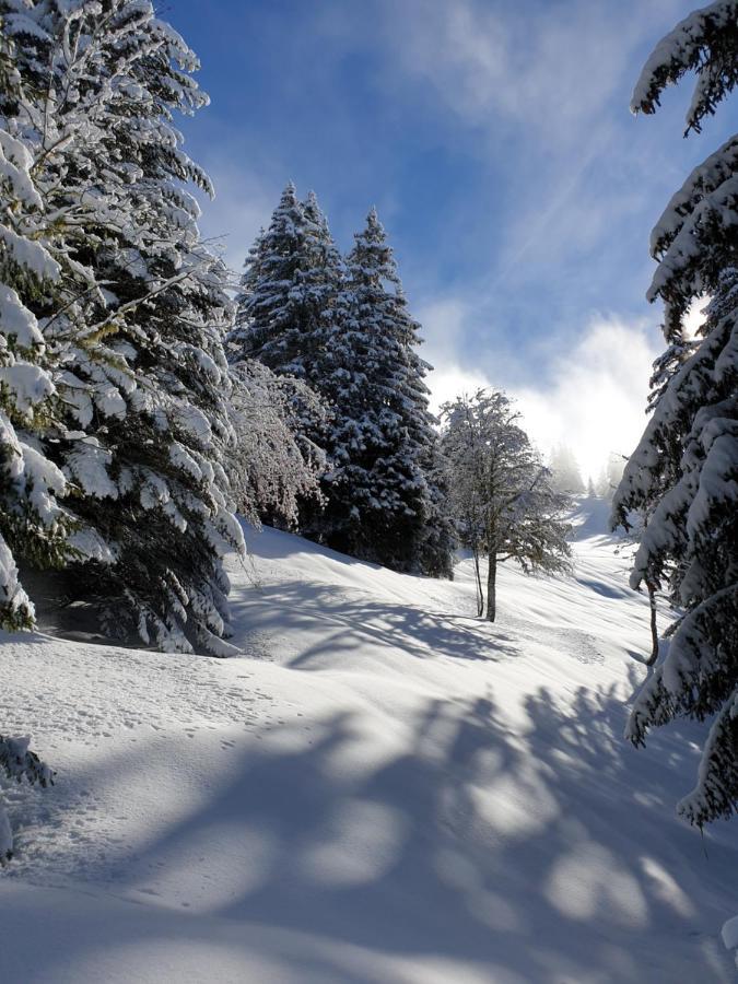 Le Chalet Theys Bagian luar foto