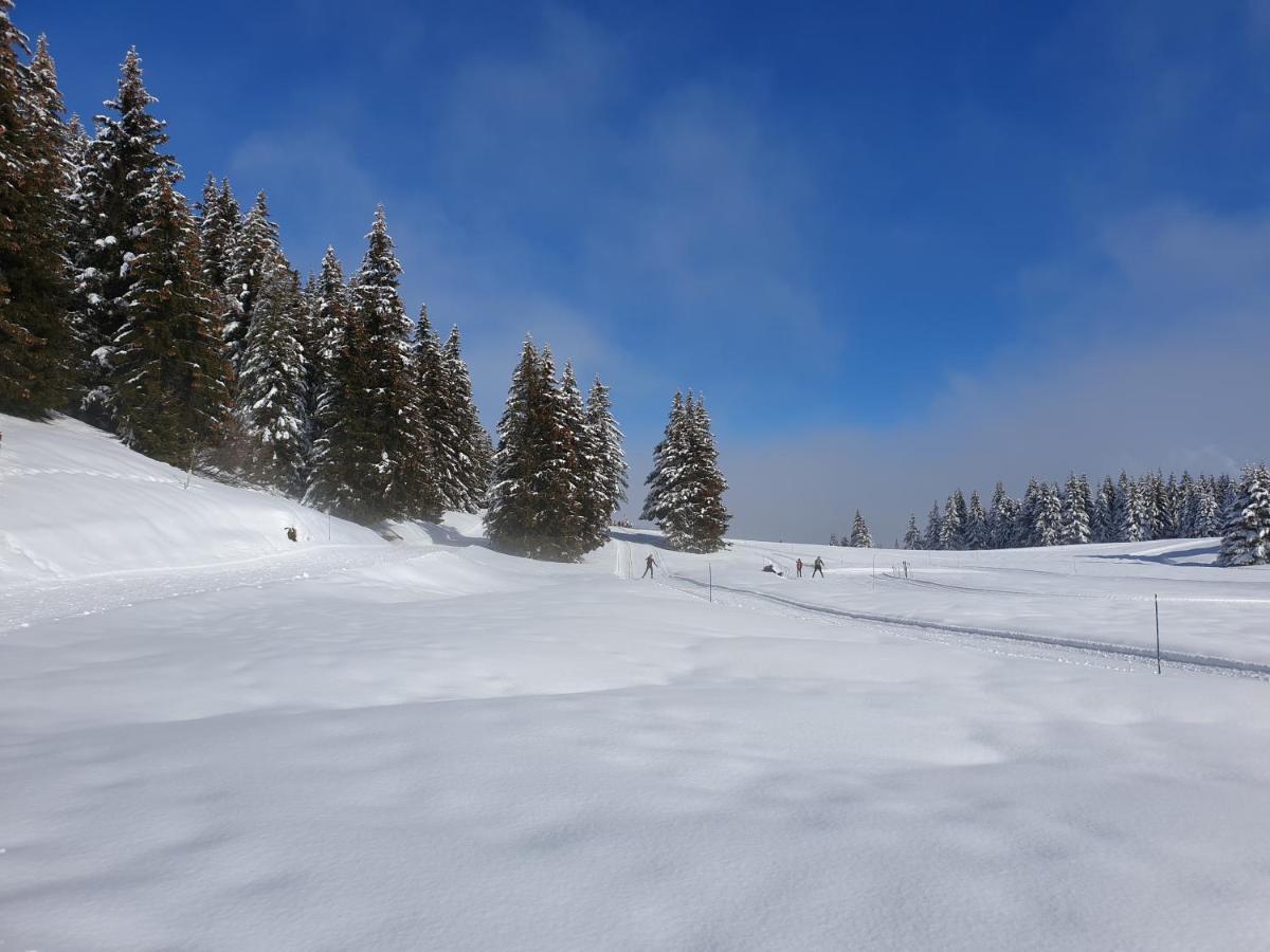 Le Chalet Theys Bagian luar foto